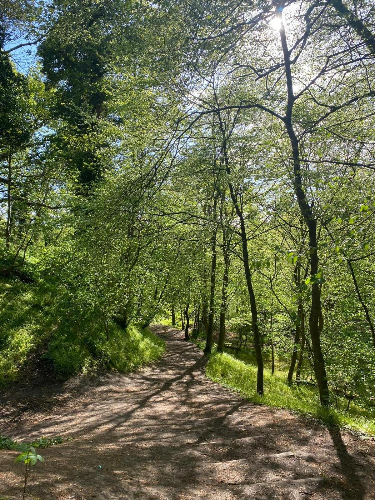Lovely Countryside Getaway Рослин Экстерьер фото